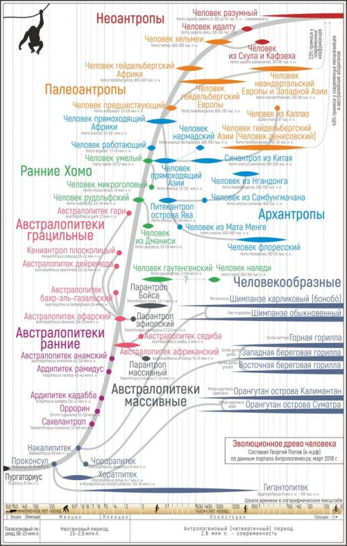 Как рудименты и атавизмы могут помочь ученым понять эволюцию и происхождение видов. 12 доказательств эволюции,...