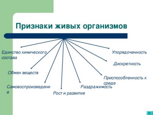 Презентация по биологии на тему. Презентация на тему Общая биология