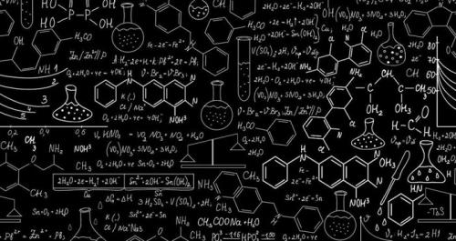 Как ученые используют рудименты органов для изучения эволюции. 12 доказательств эволюции,...