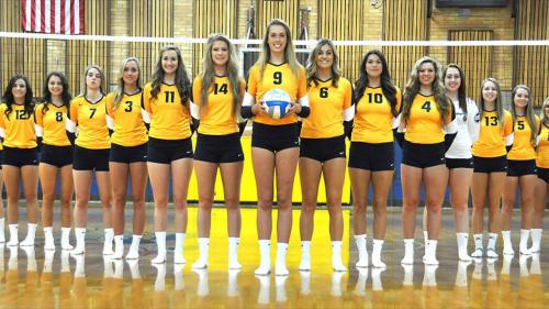 Самый длинный розыгрыш в волейболе. 10 самых интересных фактов о волейболе