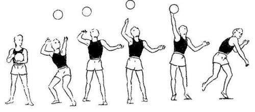 Верхняя подача в волейболе. Верхняя прямая подача в волейболе 