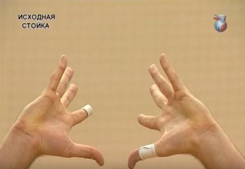 Игровые амплуа в волейболе. Позиции в волейболе 04