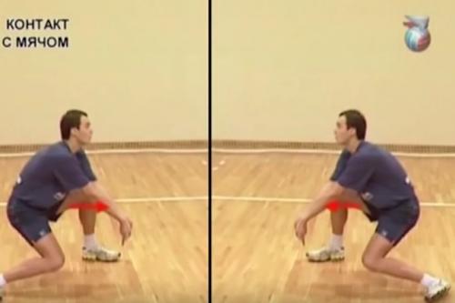 Как Называются Игроки в Волейболе.. Амплуа игроков в волейболе 05