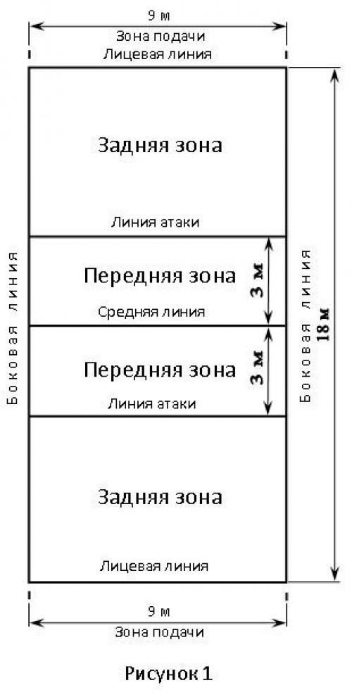 Техника и правила игры в волейбол. Правила игры в волейболе — доступно и просто