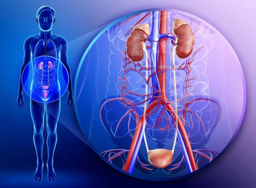 Химическое матирование стекла кислотой. Способы матирования стекла и зеркал 02