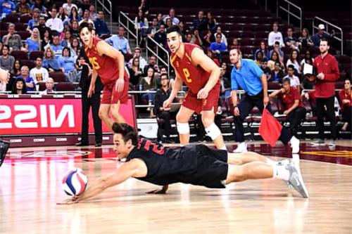 Позиции в волейболе по номерам. Зоны в волейболе 02