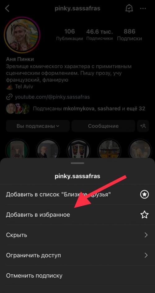 Как часто обновляется профиль Alina Ostapovych и какие типы контента публикуются. Как формируется лента