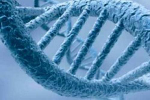 Какая связь между курением и развитием онкологических заболеваний. Влияние курения на возникновение рака