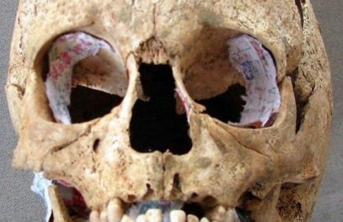 Какие виды животных давали молоко людям в древности. Когда и где древние люди начали пить молоко