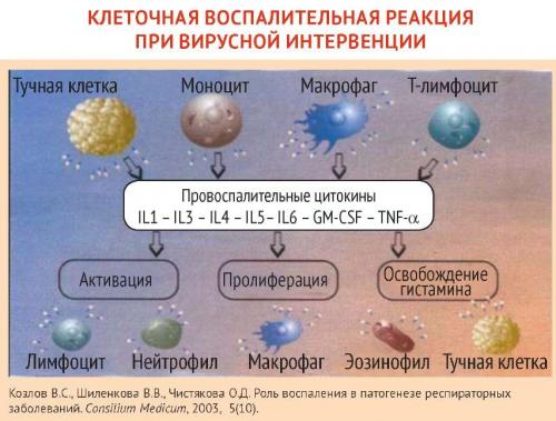 Какие возможности лечения существуют для коронавируса и гриппа. Грипп в современных условиях: Противовирусная терапия прямого действия
