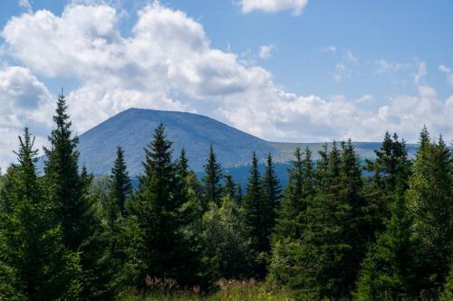 Какие места в России популярны среди туристов, желающих увидеть самые высокие деревья. Самые красивые в России горы и скалы