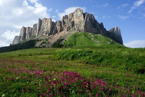 Какие места в России популярны среди туристов, желающих увидеть самые высокие деревья. Самые красивые в России горы и скалы