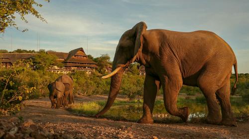 Какие водные виды спорта популярны на водопаде Виктория.  Сафари на водопаде Виктория.