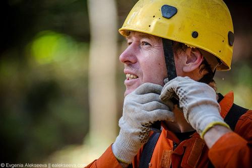 Исследование: где находятся самые высокие деревья в России 04
