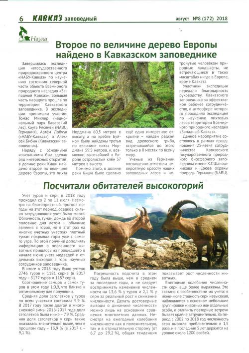 Исследование: где находятся самые высокие деревья в России 08