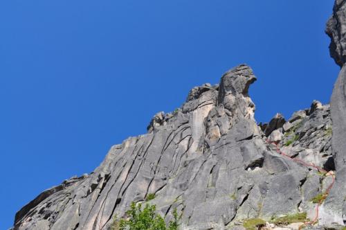 Какие места в России популярны среди туристов, желающих увидеть самые высокие деревья. Самые красивые в России горы и скалы