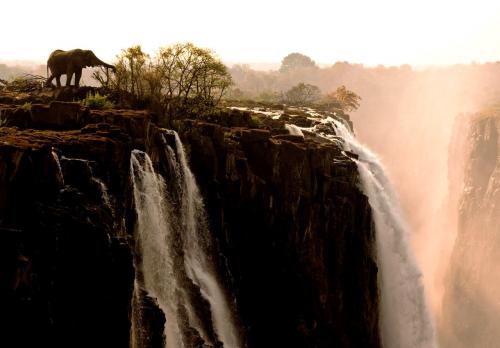 Необычные впечатления: 5 занятий на водопаде Виктория 09