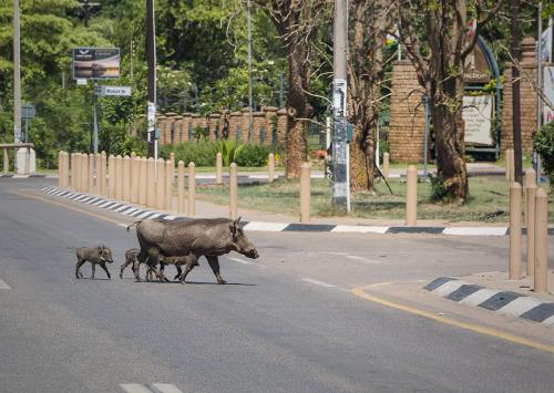 Какие водные виды спорта популярны на водопаде Виктория.  Сафари на водопаде Виктория.