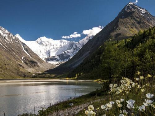 Какие места в России популярны среди туристов, желающих увидеть самые высокие деревья. Самые красивые в России горы и скалы