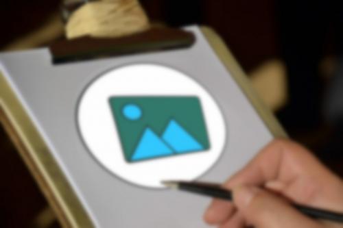 Животные открытые в 2021 году. Британские специалисты открыли в 2021 году 550 новых видов животных и растений