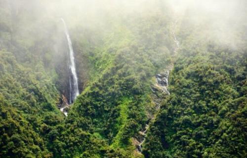 Новые животные 2020. Ученые открыли 20 новых видов животных. Вот самые интересные из них