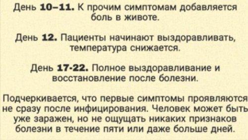 Изучаем коронавирус: как он развивается в организме от заражения до выздоровления 04
