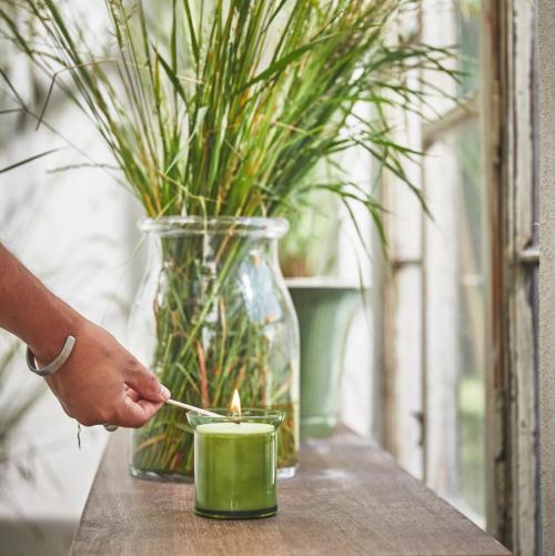 Тайны обоняния: всё, что вы хотели знать 05