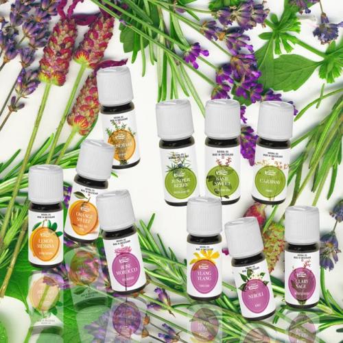 Как Запахи Влияют на Наши Эмоции и Поведение: Удивительные Факты 03