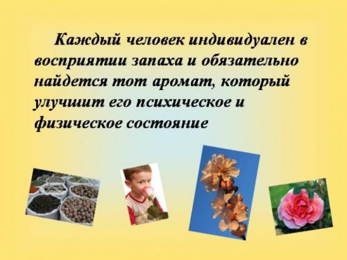 Обоняние: 5 любопытных фактов, которые удивят вас 11