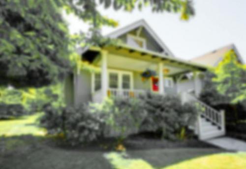 Могут ли животные видеть цвета, которые невидимы для человека. О том, как видят мир животные