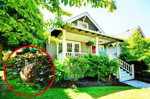 Могут ли животные видеть цвета, которые невидимы для человека. О том, как видят мир животные