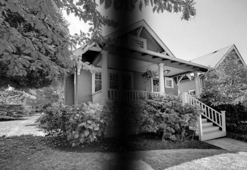 Могут ли животные видеть цвета, которые невидимы для человека. О том, как видят мир животные