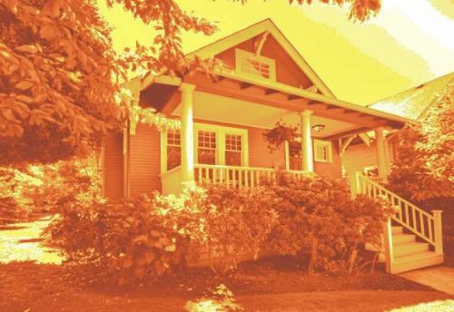 Могут ли животные видеть цвета, которые невидимы для человека. О том, как видят мир животные