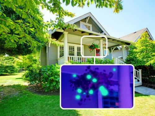 Могут ли животные видеть цвета, которые невидимы для человека. О том, как видят мир животные