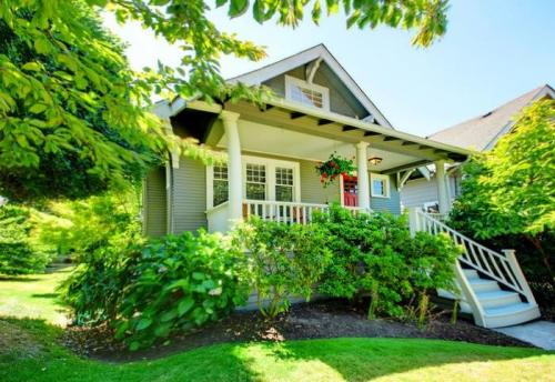 Могут ли животные видеть цвета, которые невидимы для человека. О том, как видят мир животные