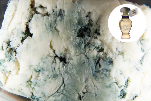 Какие самые редкие и уникальные запахи существуют в мире. Кровь, бекон, похоронное бюро: 11 самых странных ароматов в парфюмерии