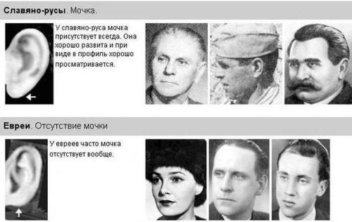 Как варьируется форма носа среди разных людей. Какая форма носа считается «типично русской». Что форма носа может рассказать о характере человека? Прямой нос у женщин национальность