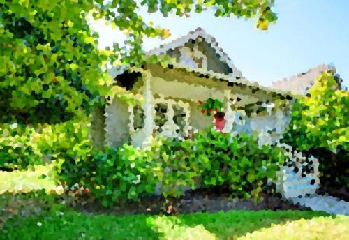 Могут ли животные видеть цвета, которые невидимы для человека. О том, как видят мир животные