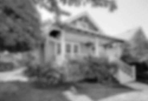 Могут ли животные видеть цвета, которые невидимы для человека. О том, как видят мир животные