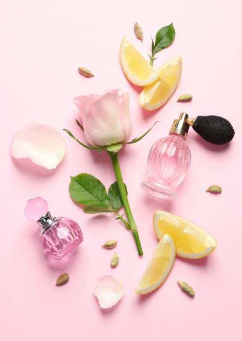 Как Запахи Влияют на Наши Эмоции и Поведение: Удивительные Факты 04