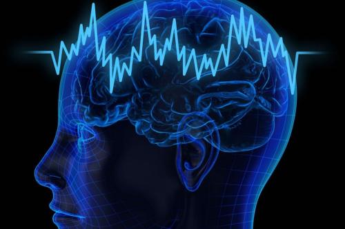 Невероятные факты об органах чувств: что мы не знали о своем теле 03 Невероятные факты об органах чувств: что мы не знали о своем теле 03