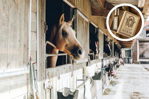 Какие самые редкие и необычные запахи существуют в мире. Кровь, бекон, похоронное бюро: 11 самых странных ароматов в парфюмерии