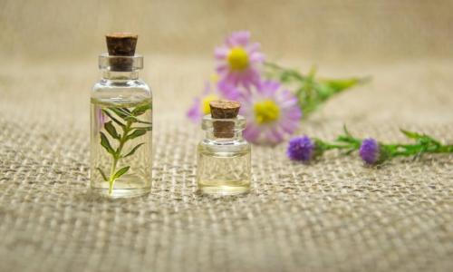 Обоняние: 10 интересных фактов, которые вы, возможно, не знали 06