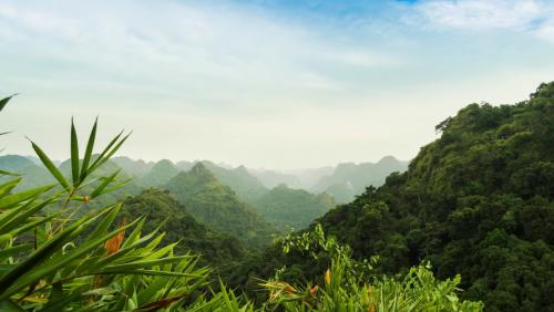 Невероятные факты об органах чувств: что мы не знали о своем теле 06 Невероятные факты об органах чувств: что мы не знали о своем теле 06