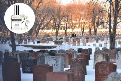 Какие существуют самые необычные запахи в мире. Кровь, бекон, похоронное бюро: 11 самых странных ароматов в парфюмерии