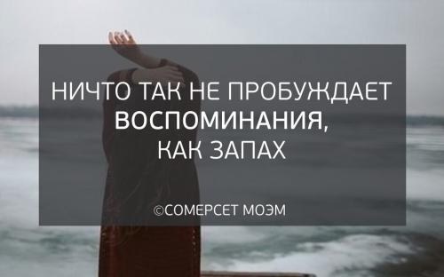 Запахи и поведение: 5 удивительных фактов, которые вас удивят 05