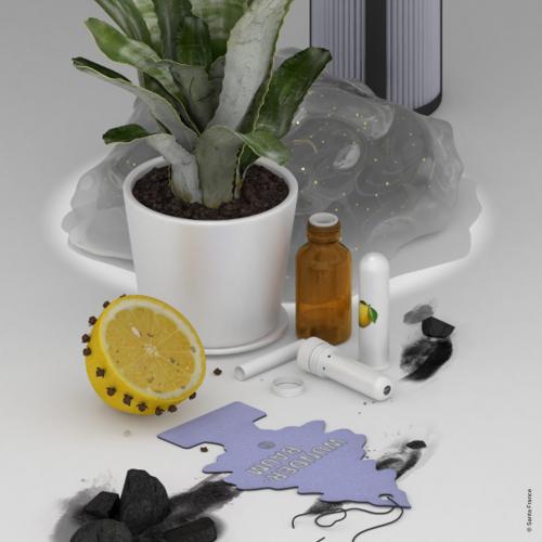 Может ли запах влиять на наши социальные взаимодействия. Пахнет исследованием