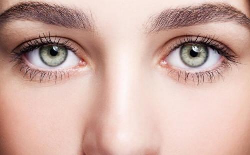 Как зрение человека сравнится со зрением других животных. Почему люди видят на миллион цветов больше, чем животные