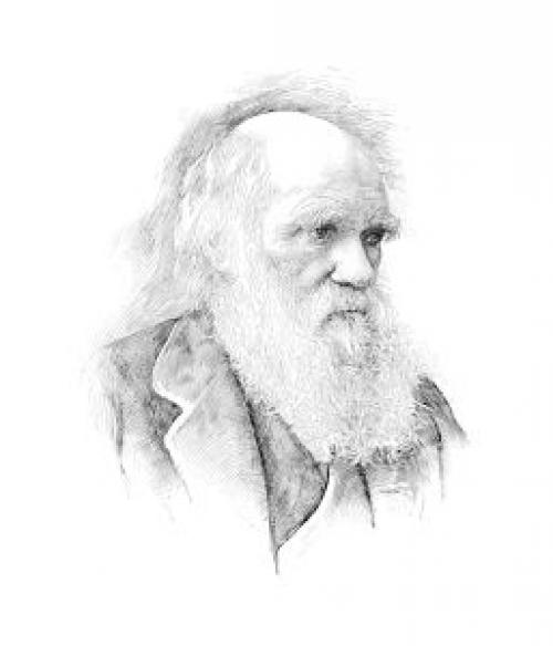 Рассказ о этапе эволюции человека. 17 . Антропогенез, исторические этапы развития Homo sapiens. 02