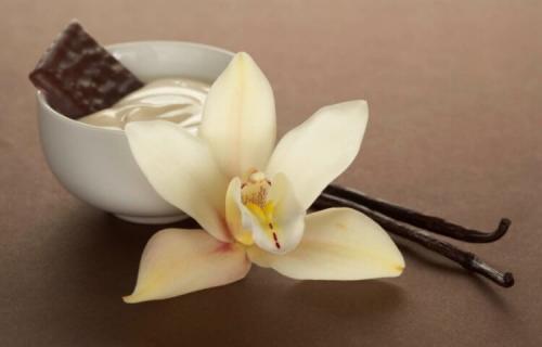 Есть ли запахи, которые нравятся всем людям без исключения. Какие запахи нравятся всем людям без исключения?